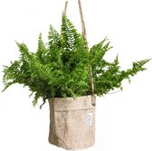 3 stuks Hangende Jute Plantenzak met Metalen Ring diameter Ø-11cmx11cm hoogte