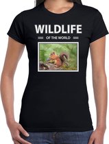 Dieren foto t-shirt Eekhoorn - zwart - dames - wildlife of the world - cadeau shirt eekhoorns liefhebber 2XL