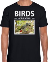 Dieren foto t-shirt Grijze roodstaart papegaai - zwart - heren - birds of the world - cadeau shirt Papegaaien liefhebber S
