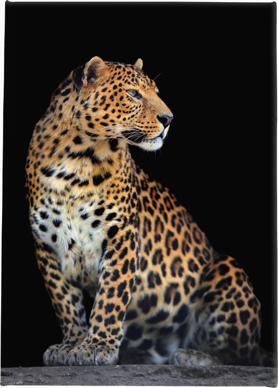 Canvasdoek Panter | Luipaard | Leopard | Wanddecoratie | 20 CM x 30 CM | Schilderij | Dieren | Natuur