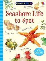 Seashore Life to Spot Usborne Mini Books Usborne Minis