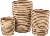 J-Line Set Van 3 Manden Maïs Beige/Bruin