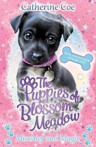 Puppies of Blossom Meadow- Mischief and Magic (Puppies of Blossom Meadow #2)