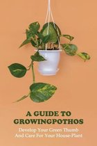 A Guide To Growing Pothos: Develop Your Green Thumb And Care For Your House-Plant