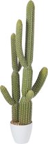 J-Line Cactus Pot Plastic Groen/Melamine Wit Large