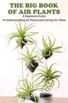 The Big Book Of Air Plants: A Beginners Guide To Understanding Air Plants And Caring For Them