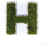 Growing Concepts Huldra - Letters .
