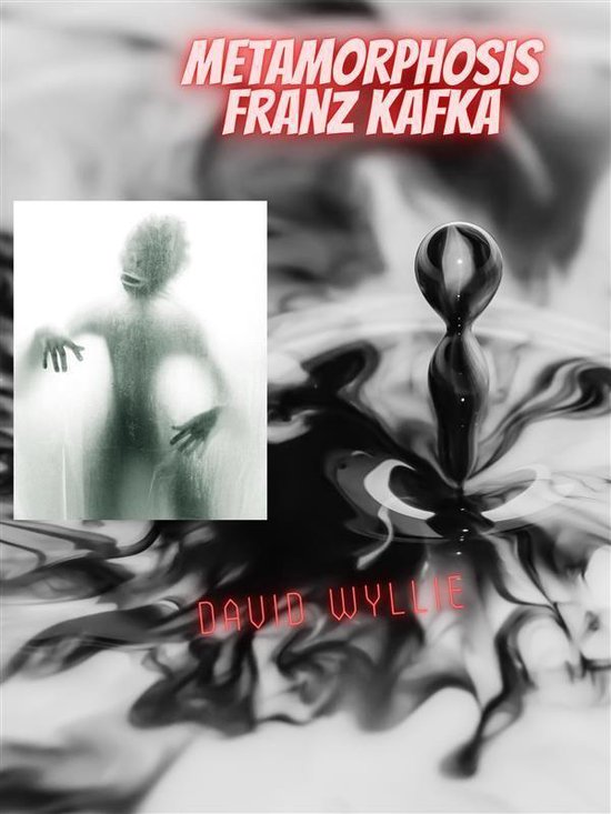 Metamorphosis Franz Kafka - cover