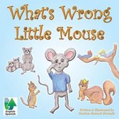 What's Wrong Little Mouse