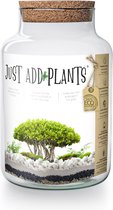 Just add Plants - Terrarium - doe het zelf