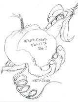 What Color Shall I Be ?