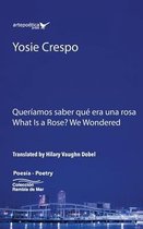 Queriamos saber que era una rosa - What is a rose? We Wondered