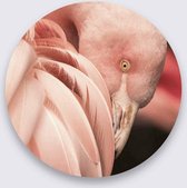 Schilderij - flamingo - Collectie Bright wings - Pure Metal - 70x70cm