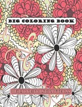 Big Coloring Book of Large Print Patterns