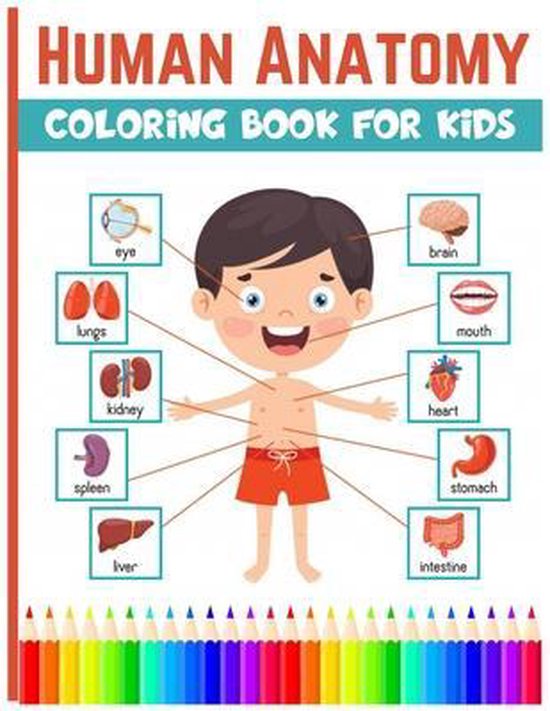 Human Anatomy Coloring Book For Kids - cover