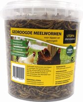Gedroogde meelwormen - 1,2 ltr - 1 stuks