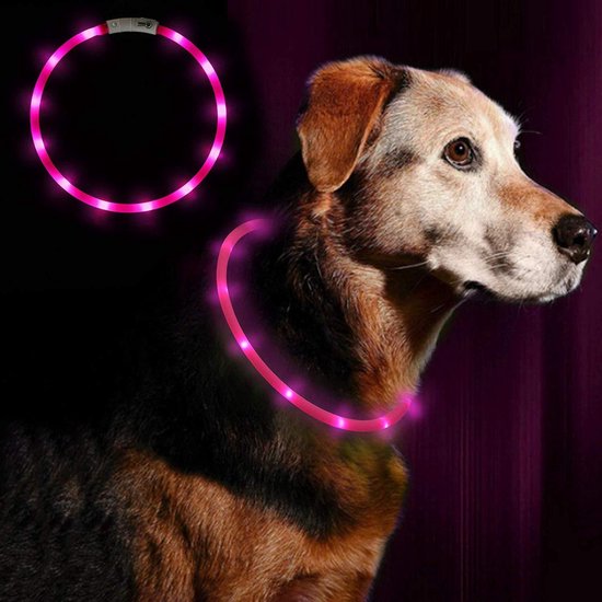 Trixie collier LED lumineux pour chien USB rechargeable rose 7 mmx65 cm |  bol.com