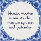 Delfts Blauwe Spreukentegel - Moeder worden is een wonder, moeder zijn een heel gedonder!
