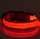 LED Hondenhalsband - Mini - Rood - S