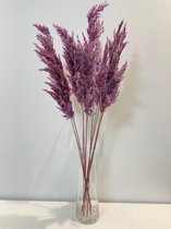 Pampas pluimen | Pampasgras | Rietpluimen | droogbloemen | 10 stuks | 70cm  | Lavendel
