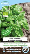 Protecta Groente zaden: Basilicum Grootbladige Biologisch