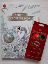 Kleurboek voor volwassenen Zwanen met 12 kleurpotloden