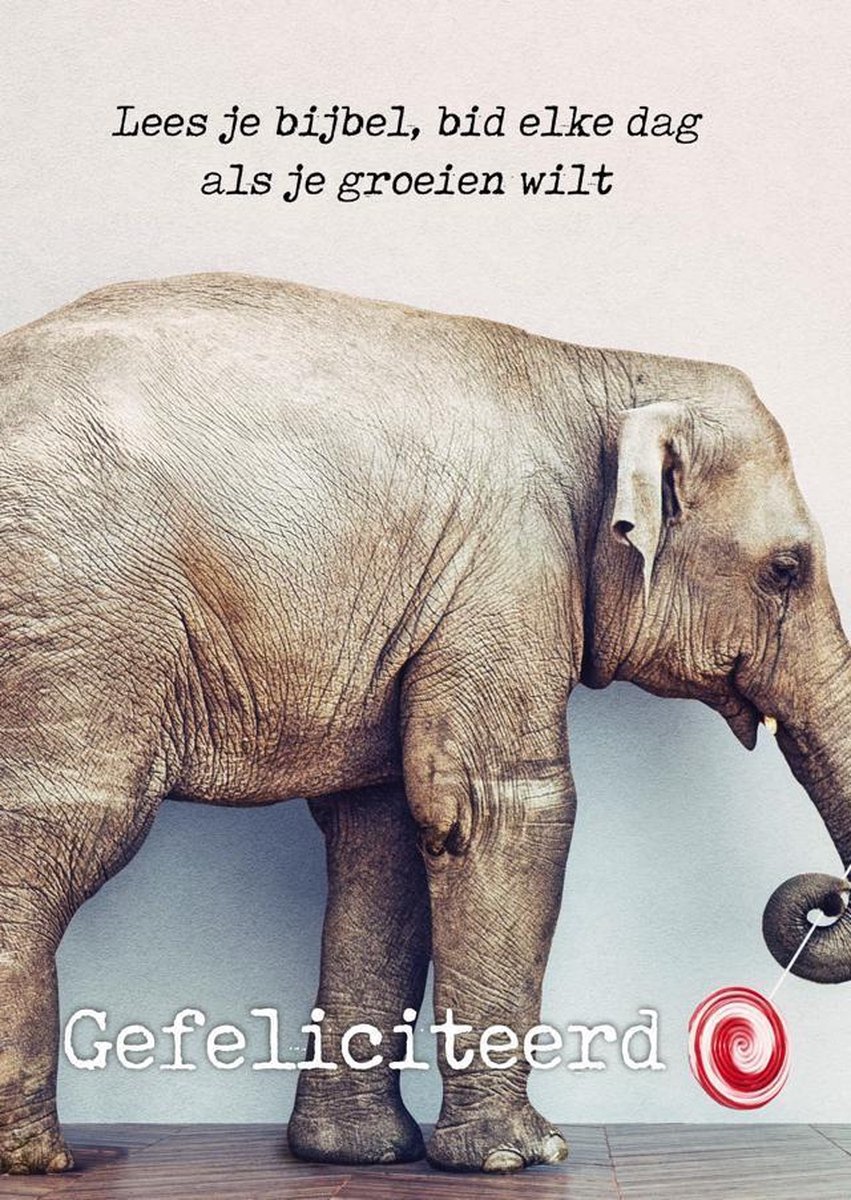 25 stuks 'Gefeliciteerd - Olifant'| Christelijke kaart met envelop| Majestically