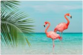 Poster – Twee Flamingo's in Zee met Palmblad - 120x80cm Foto op Posterpapier