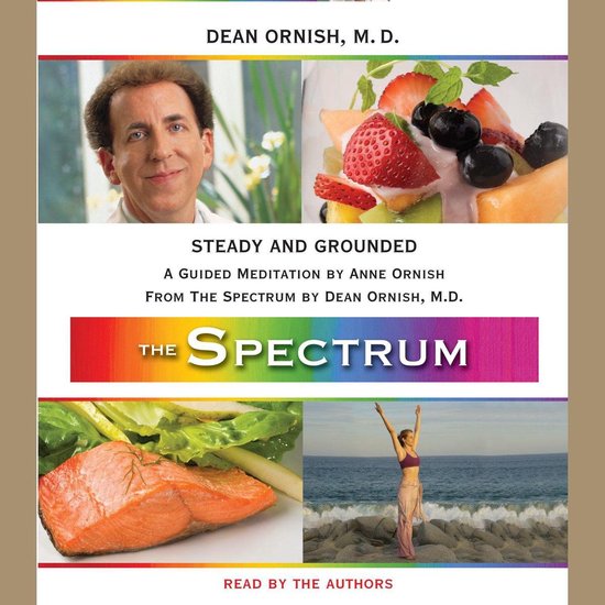 Steady and Grounded - cover