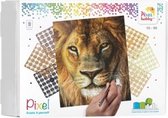 Pixelhobby Classic Leeuw 30x37,5 cm