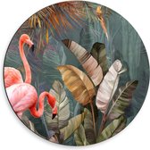 Dibond Wandcirkel - Foto van Flamingo's tussen de Bladeren - 50x50cm Foto op Aluminium Wandcirkel (met ophangsysteem)