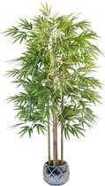 BaykaDecor Hoge Kunst Bamboe Plant met pot - Hyperrealistische - 150 cm - Hoogste Kwaliteit - Kunstplant Binnen of Buiten - Bamboo
