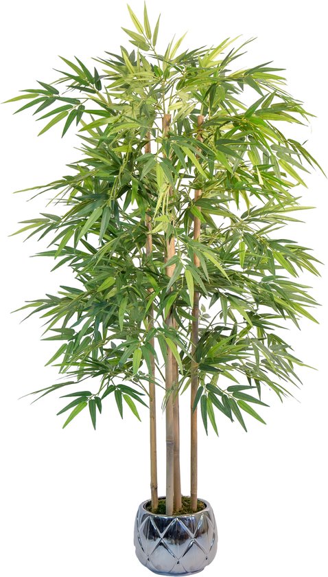 BaykaDecor Hoge Kunst Bamboe Plant met pot Hyperrealistische - 150 cm Hoogste... | bol.com