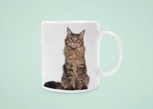 Mok - Kat - Maine Coon - kattenras - cadeautip