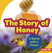 The Story of Honey