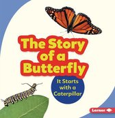 Step by Step-The Story of a Butterfly