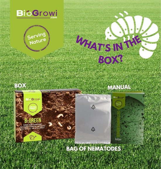 Inhoud van de doos: "B-GREEN" verpakking met aaltjes in aarde, zakje met "BAG OF NEMATODES" en handleiding "MANUAL".