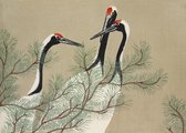 Poster Kraanvogels - Kamisaka Sekka - Japans Schilderij - Kunst Prent