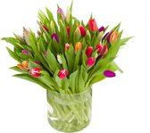Bouquet de tulipes mixtes - 30 tulipes - livraison gratuite