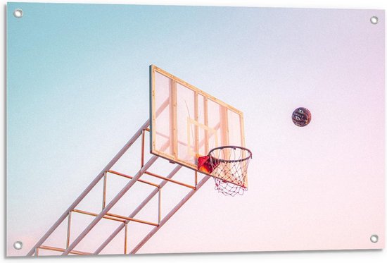 Tuinposter - Scorend Punt Basketbal - Foto op Tuinposter (wanddecoratie voor buiten en binnen)