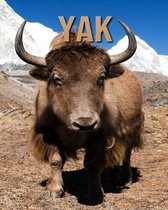 Yak