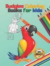 Budgies Coloring Books for kids