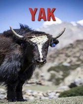 Yak