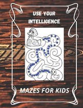 use your intelligence: Maze Puzzle Book For Kids -boys and girls-