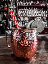 1000 Rood wit gestreepte papieren rietjes 6mm x 200mm (FSC) red & white paper straws
