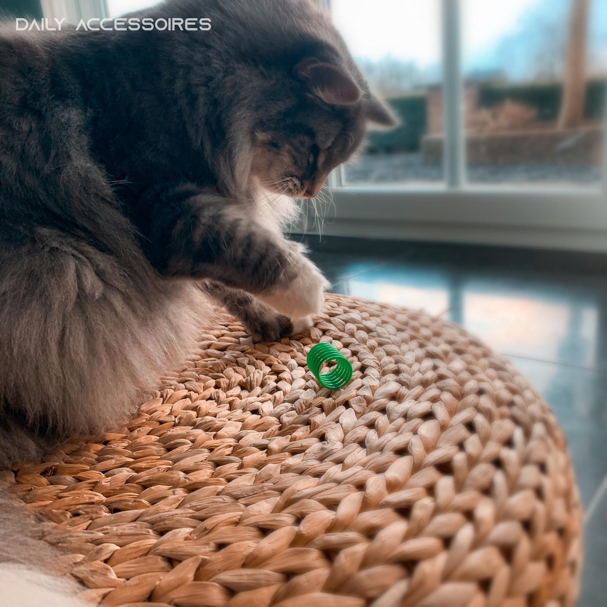LG Kattenveertjes - Set van 4 thumbnail 2