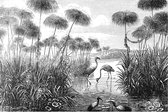 Poster Illustratie van Flamingo's Brockhaus