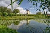 fotobehang molen Zuiderpark Rotterdam 350 x 260 cm - € 235,--