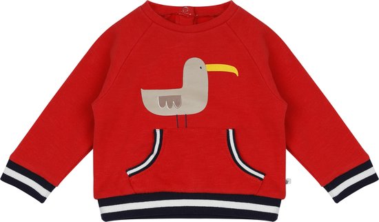 Ducky Beau Jongens Sweater Bird - Maat 74