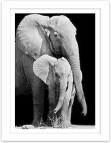 Foto in frame , Moeder Olifant met jong , 3 maten , Zwart wit , wanddecoratie , Premium print